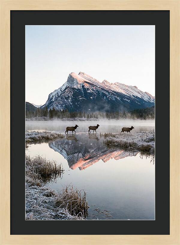 Vermilion Lakes Serenity At Dawn