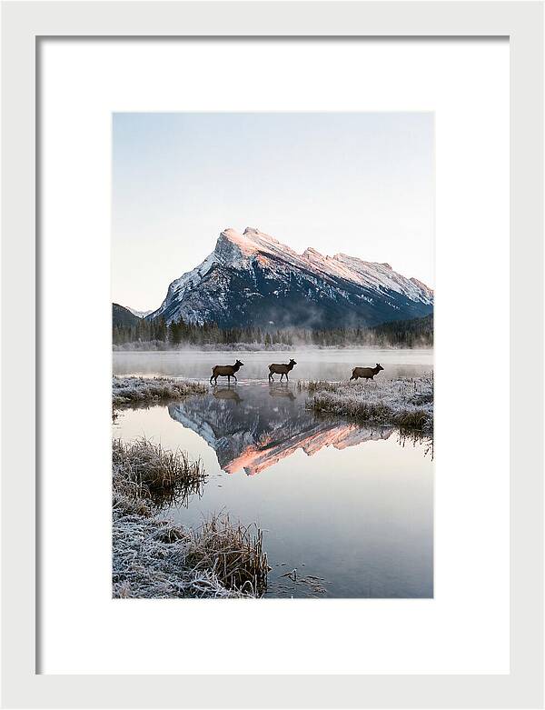 Vermilion Lakes Serenity At Dawn