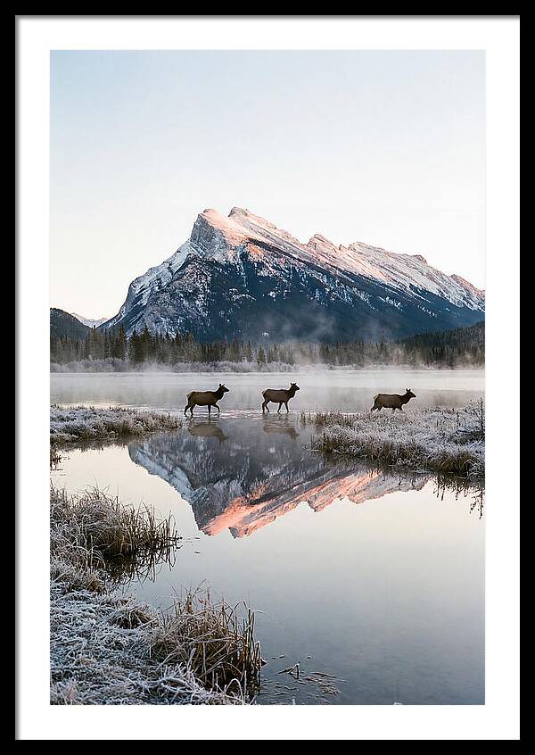 Vermilion Lakes Serenity At Dawn