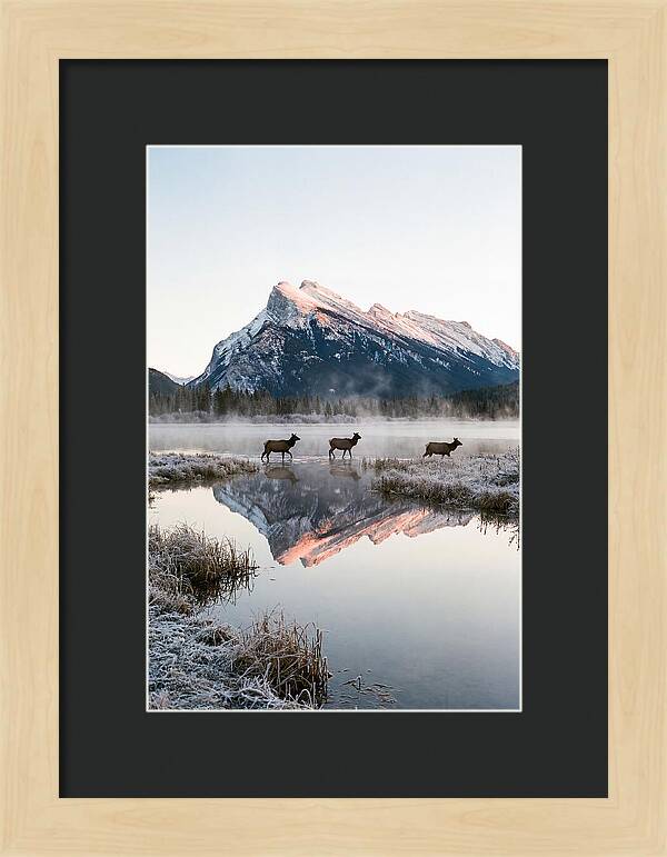 Vermilion Lakes Serenity At Dawn