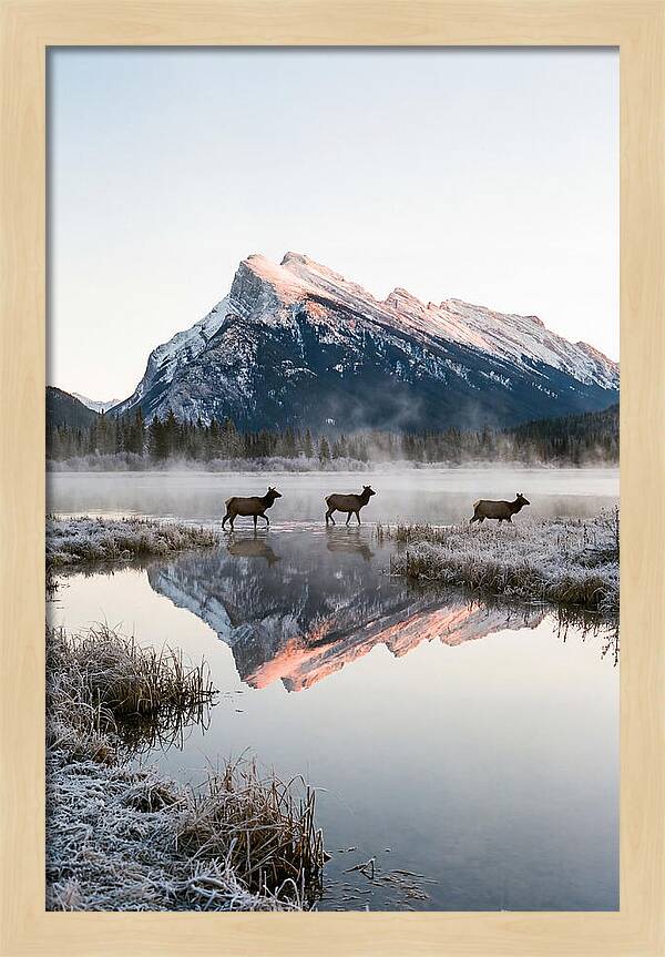 Vermilion Lakes Serenity At Dawn
