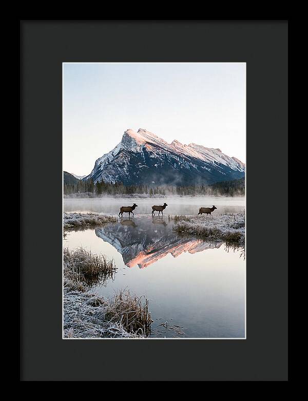 Vermilion Lakes Serenity At Dawn