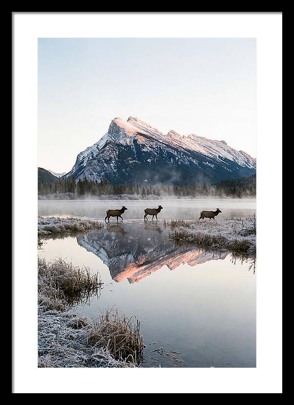 Vermilion Lakes Serenity At Dawn