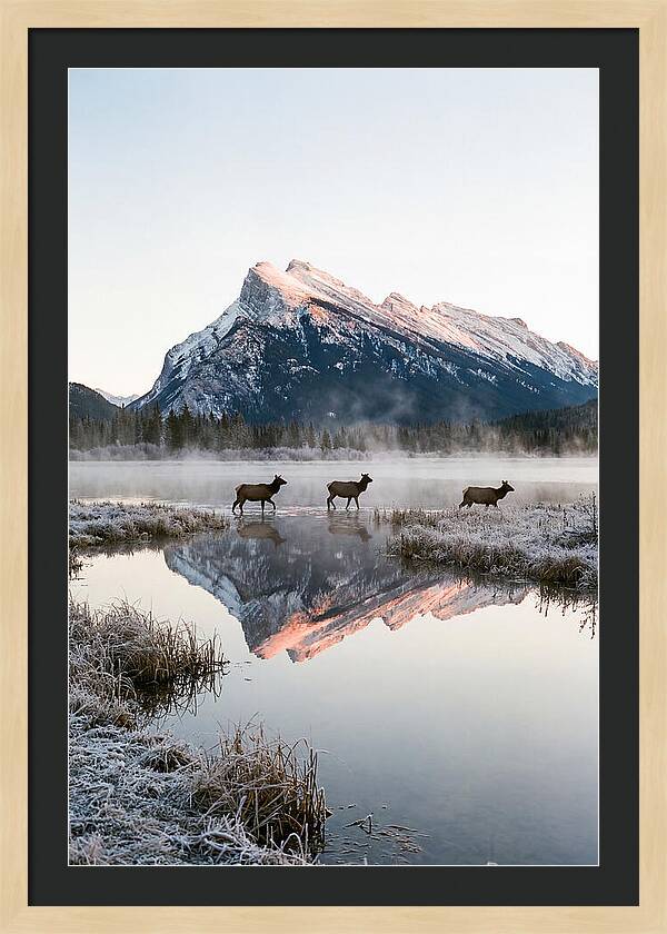 Vermilion Lakes Serenity At Dawn