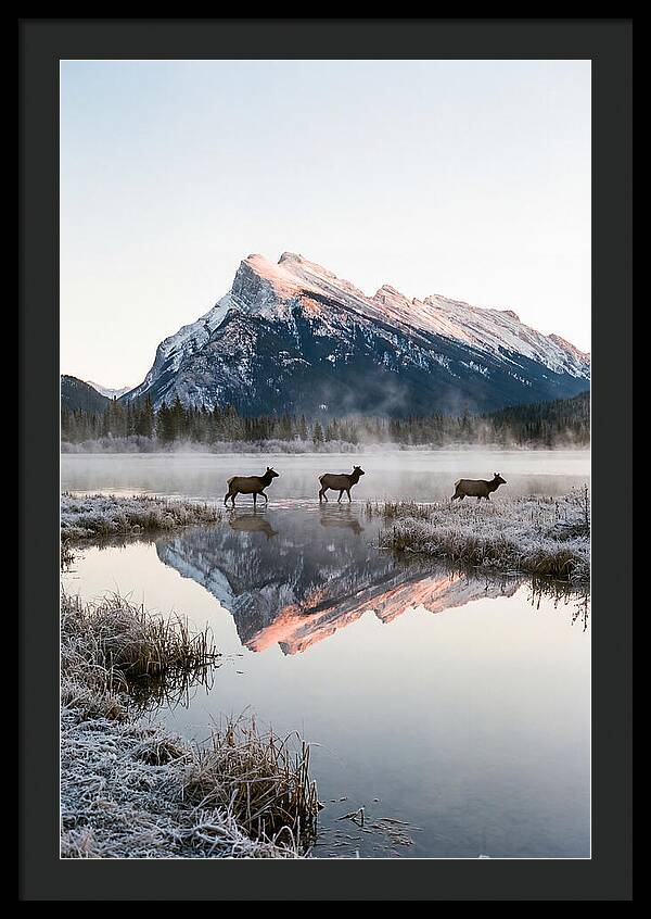 Vermilion Lakes Serenity At Dawn
