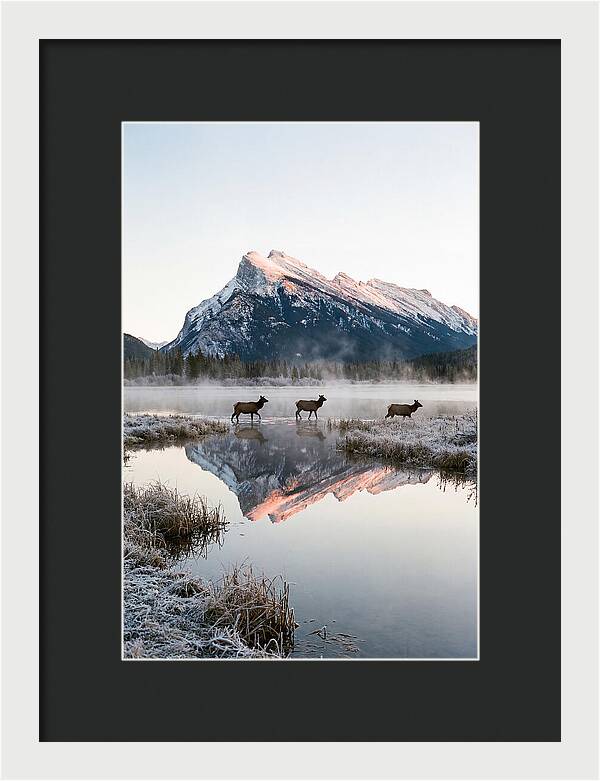 Vermilion Lakes Serenity At Dawn