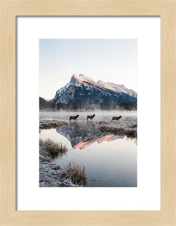 Vermilion Lakes Serenity At Dawn