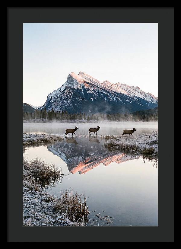 Vermilion Lakes Serenity At Dawn