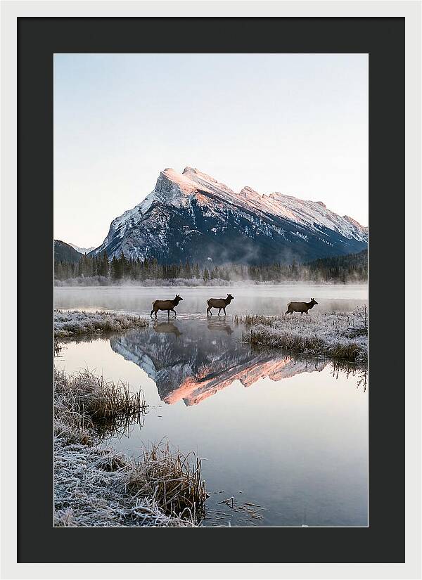 Vermilion Lakes Serenity At Dawn