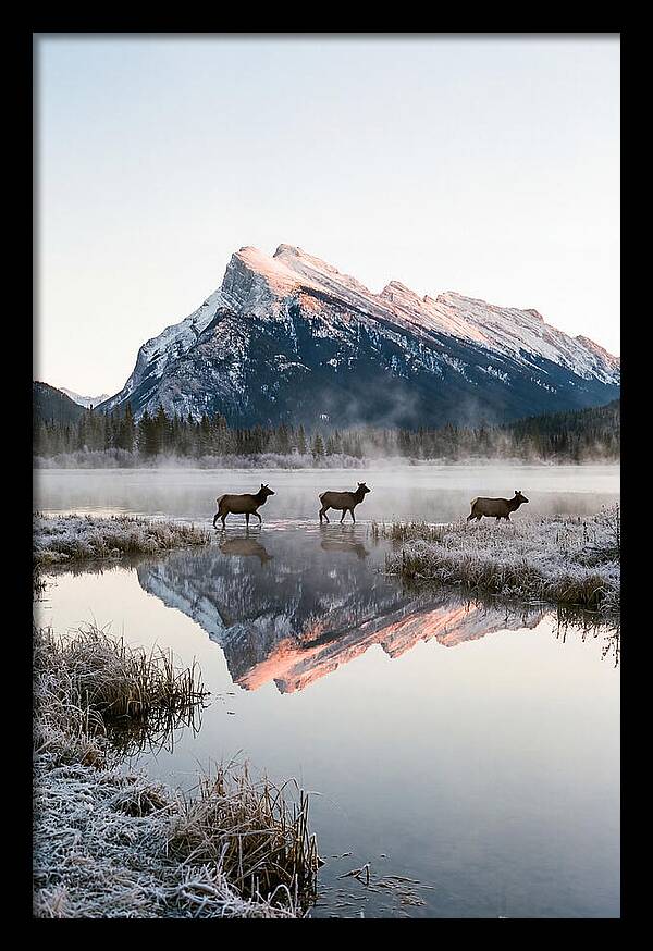 Vermilion Lakes Serenity At Dawn