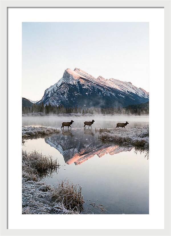Vermilion Lakes Serenity At Dawn