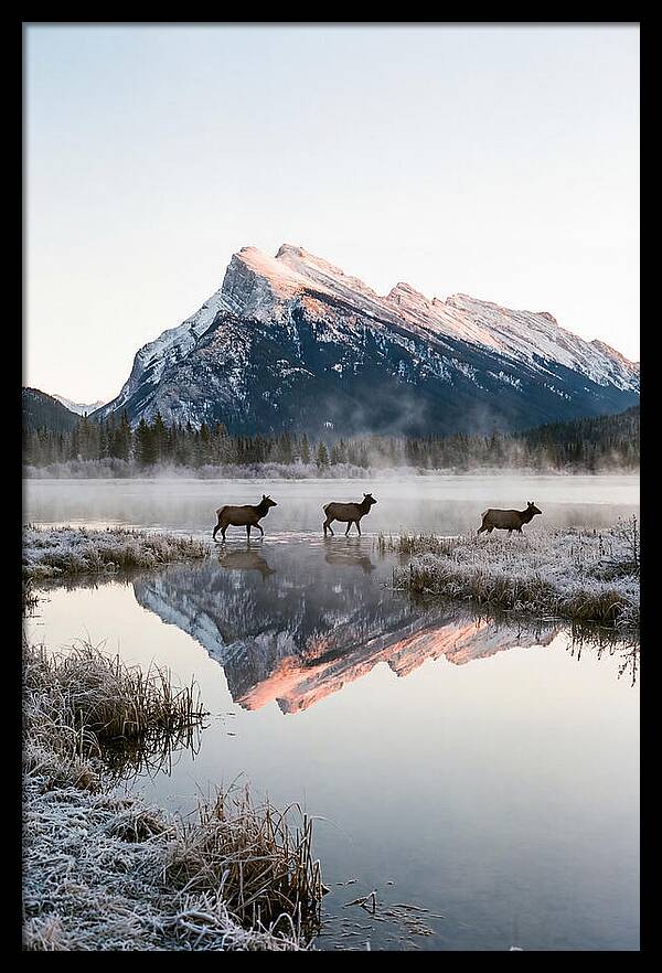 Vermilion Lakes Serenity At Dawn