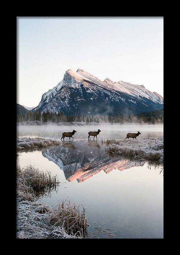Vermilion Lakes Serenity At Dawn