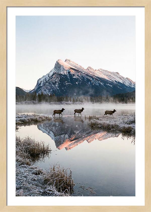 Vermilion Lakes Serenity At Dawn