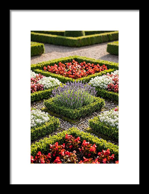 Versailles Formal Garden Serenity