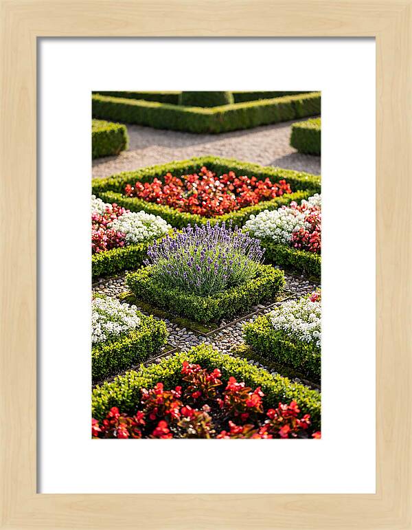 Versailles Formal Garden Serenity