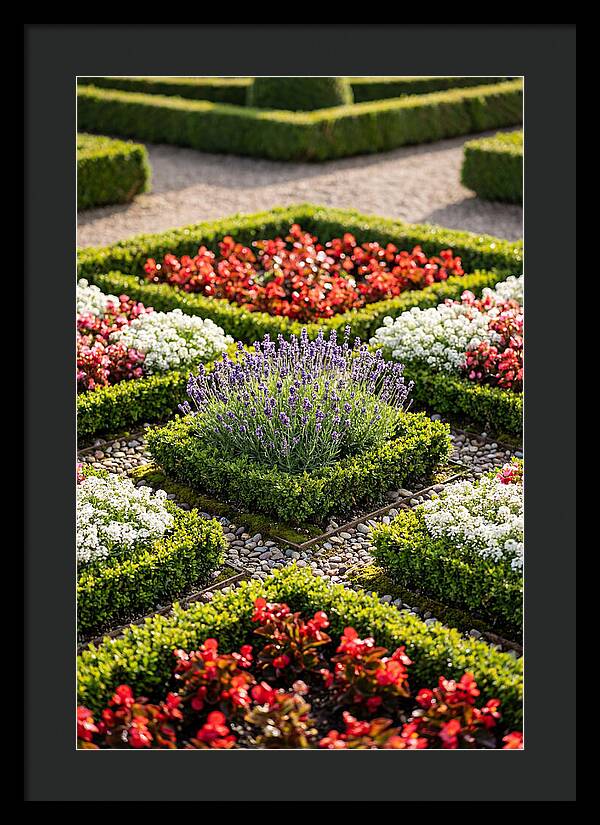 Versailles Formal Garden Serenity