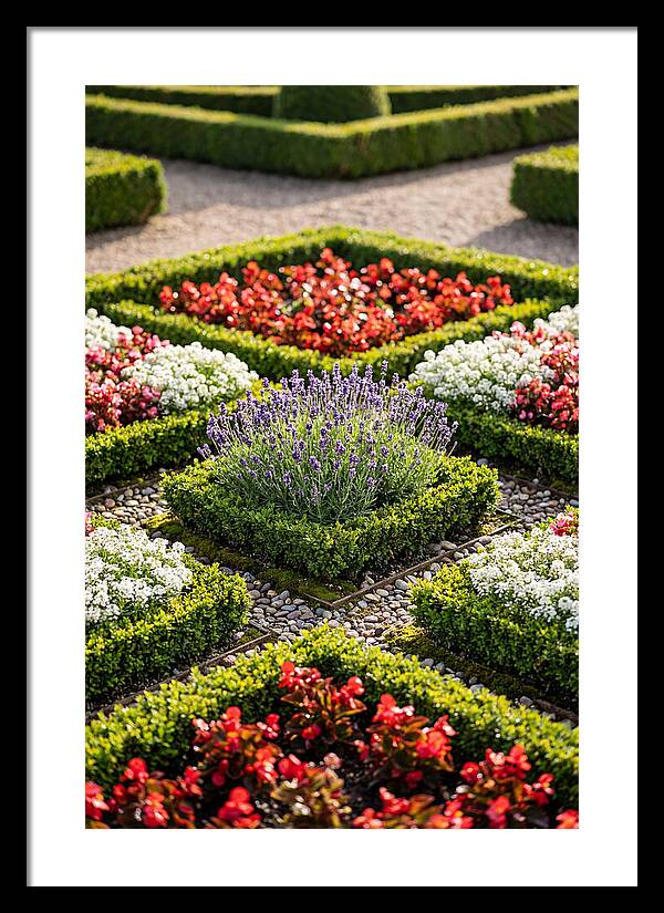 Versailles Formal Garden Serenity