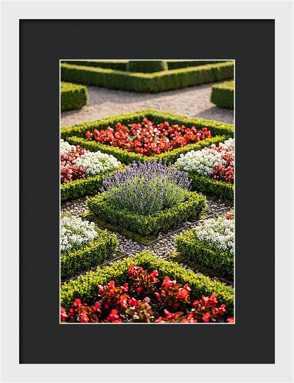 Versailles Formal Garden Serenity