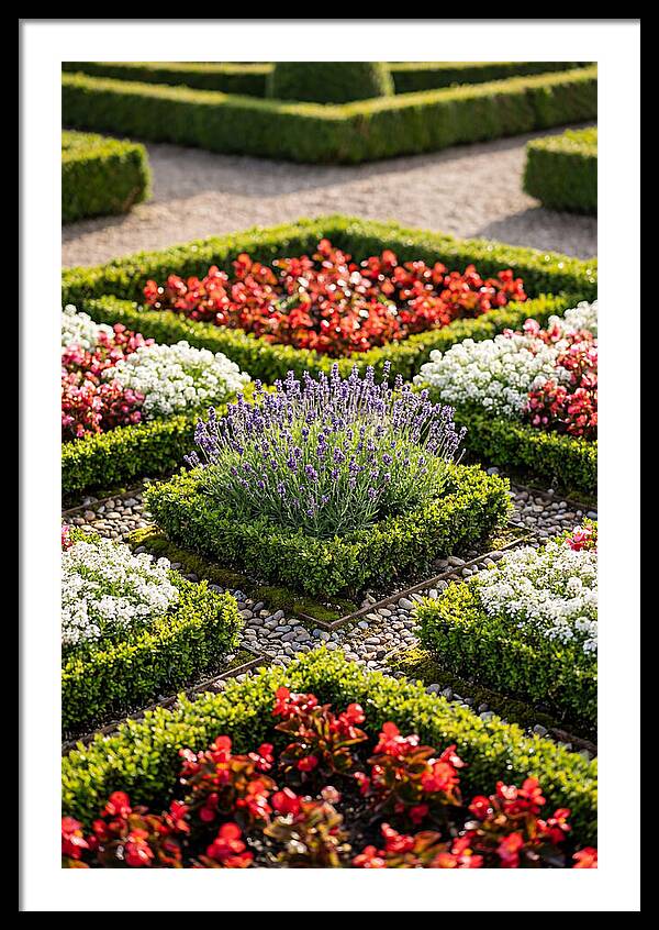Versailles Formal Garden Serenity