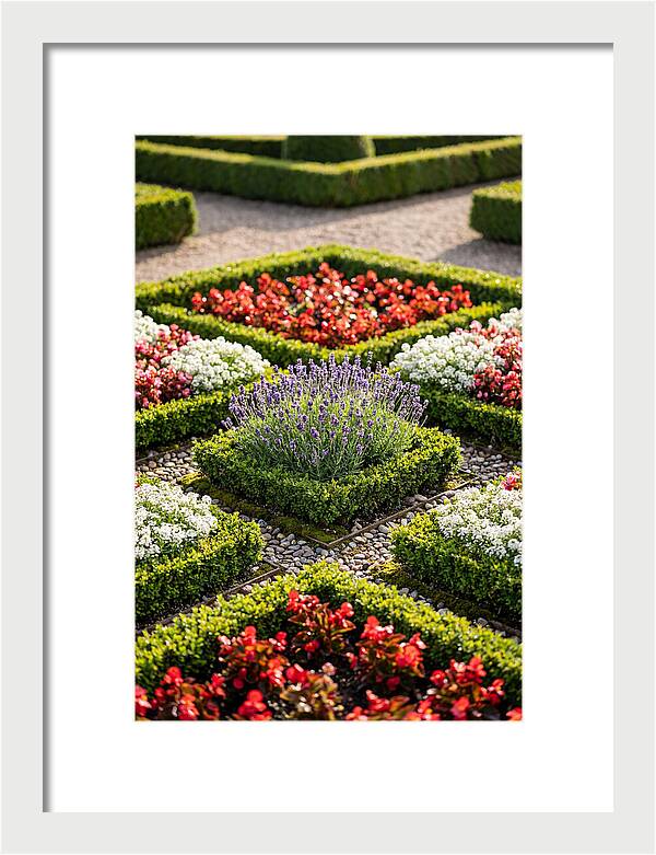 Versailles Formal Garden Serenity