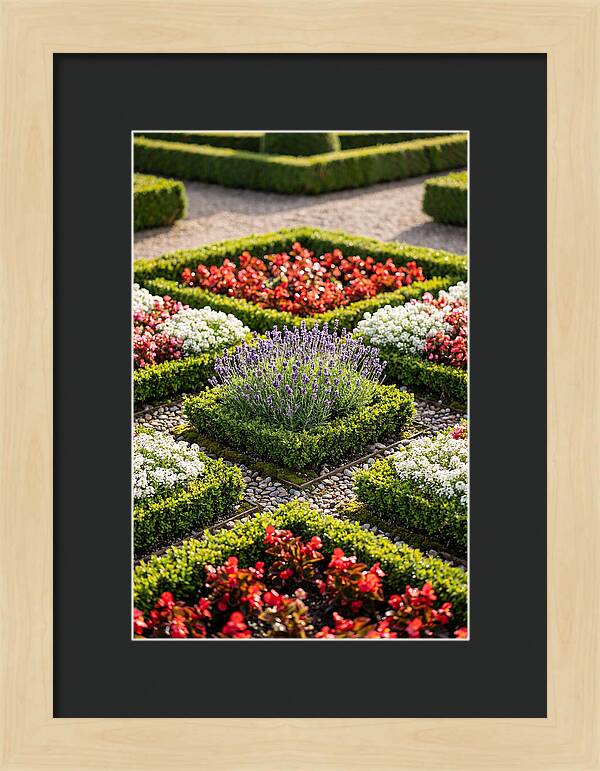 Versailles Formal Garden Serenity