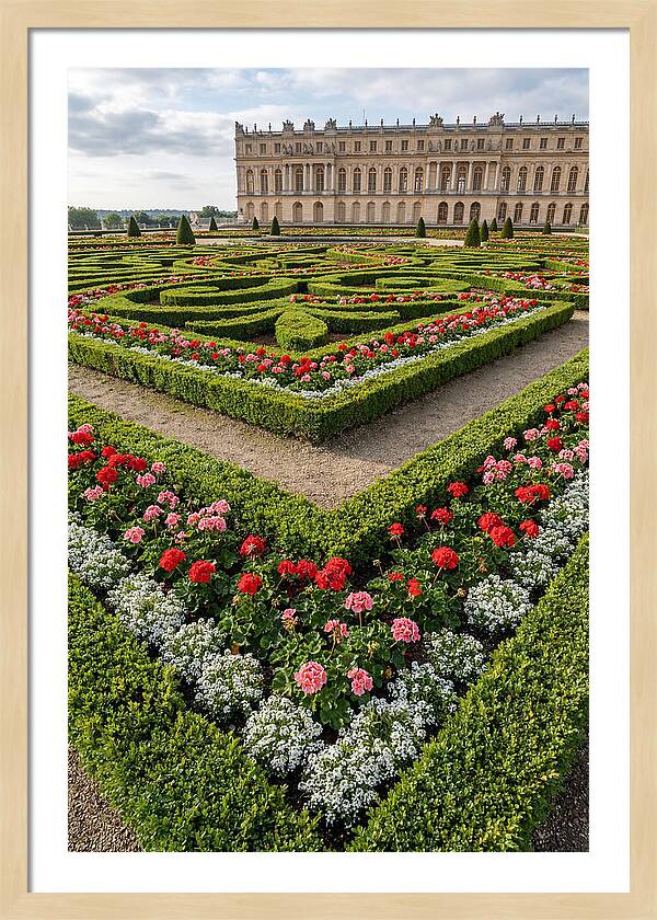 Versailles Garden Tranquility