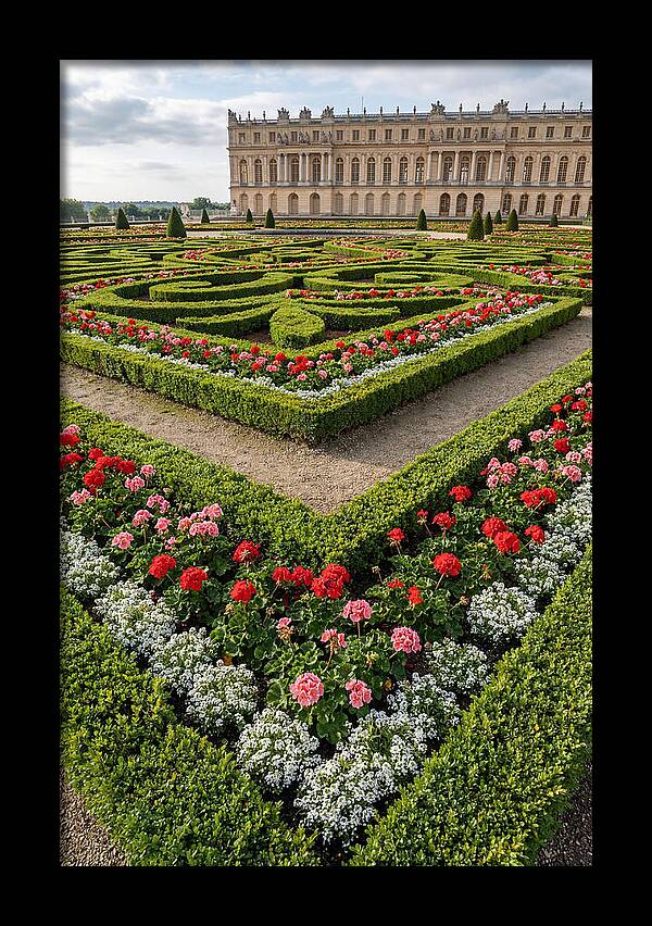 Versailles Garden Tranquility