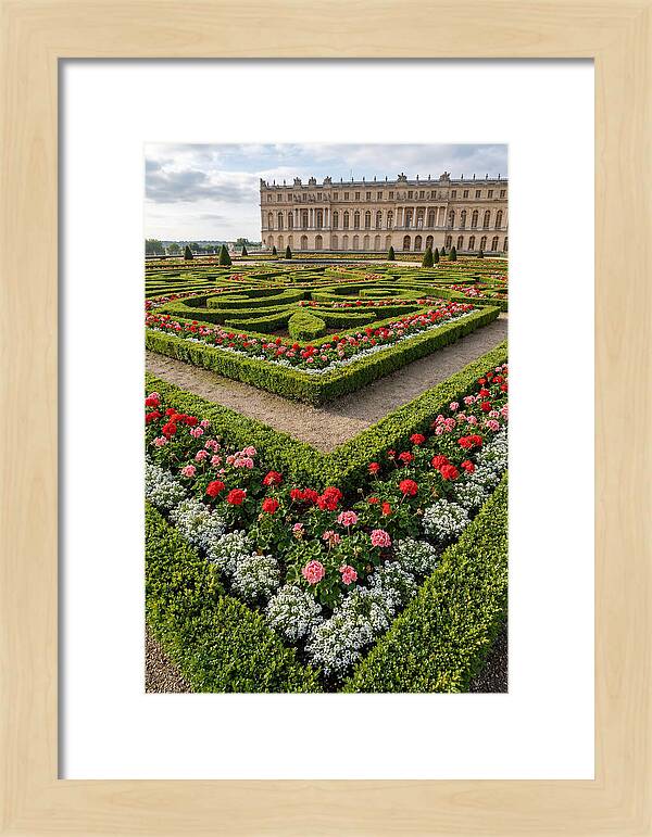 Versailles Garden Tranquility