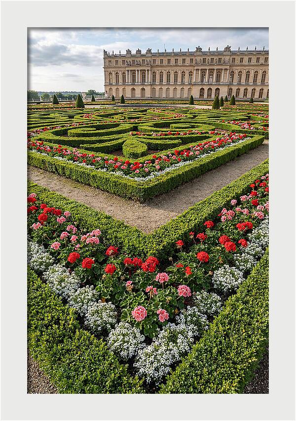 Versailles Garden Tranquility
