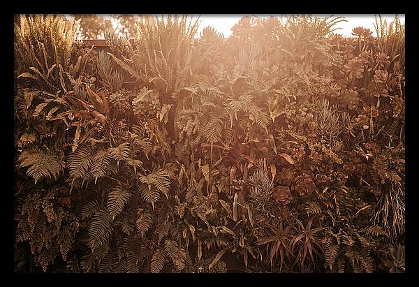 Vertical Garden Serenity
