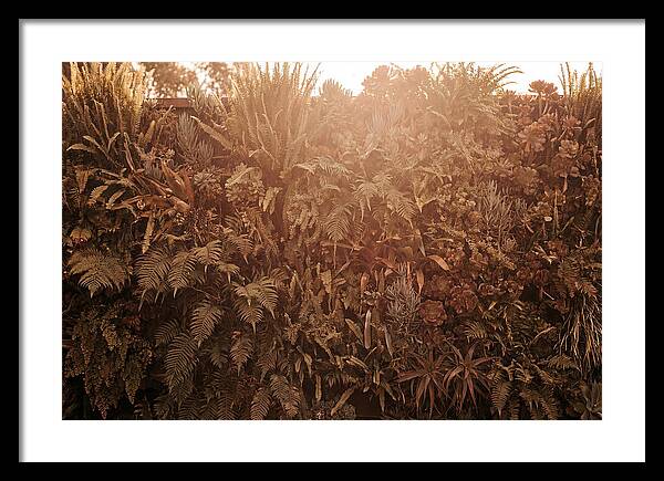 Vertical Garden Serenity
