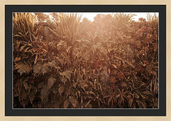 Vertical Garden Serenity