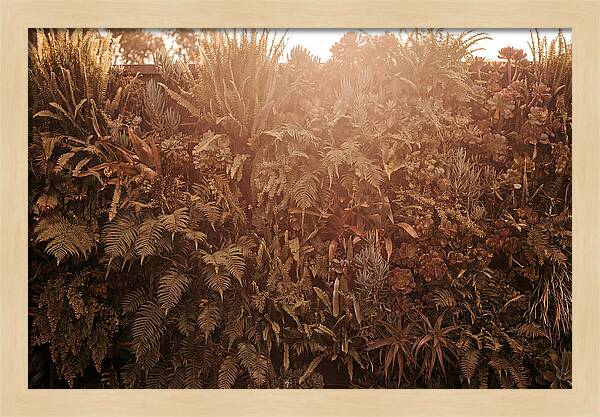 Vertical Garden Serenity