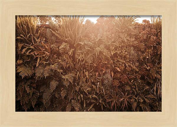 Vertical Garden Serenity