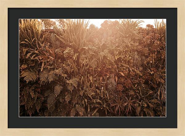 Vertical Garden Serenity