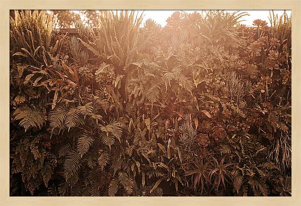 Vertical Garden Serenity