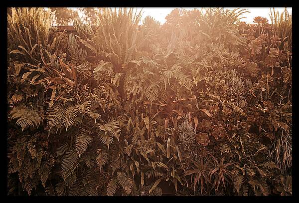 Vertical Garden Serenity
