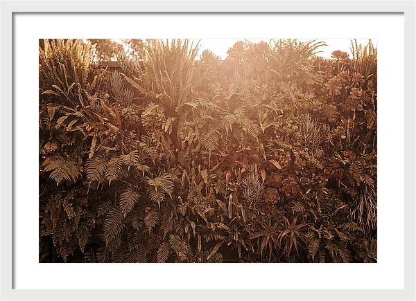 Vertical Garden Serenity
