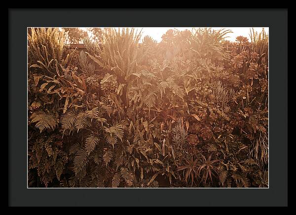 Vertical Garden Serenity