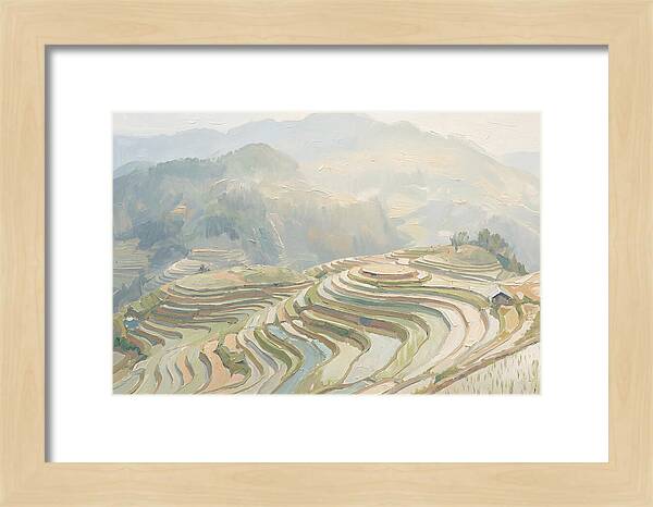 Vertical Rice Terraces In Mist