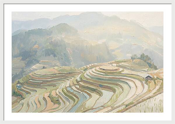 Vertical Rice Terraces In Mist