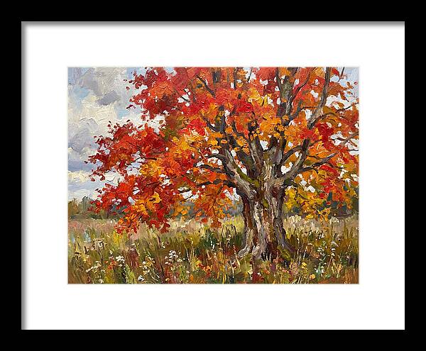 Vibrant Autumn Maple Tree