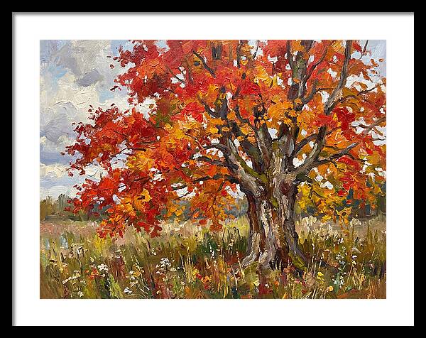 Vibrant Autumn Maple Tree