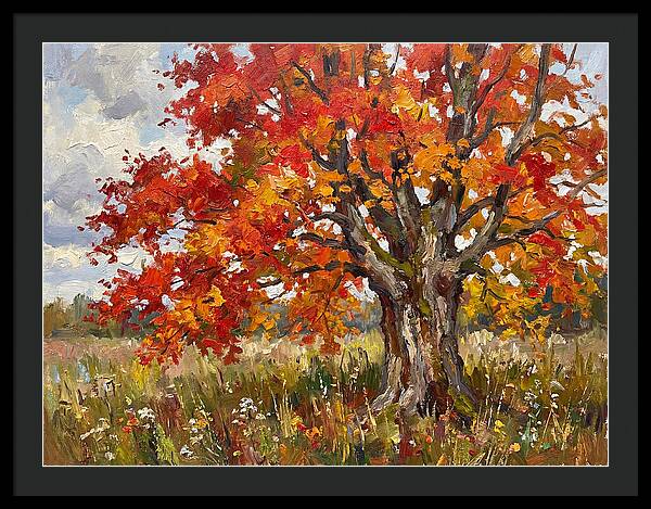 Vibrant Autumn Maple Tree