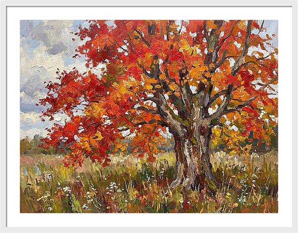 Vibrant Autumn Maple Tree