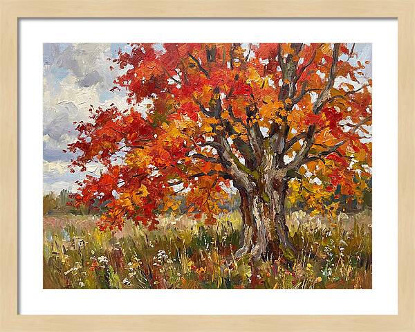 Vibrant Autumn Maple Tree