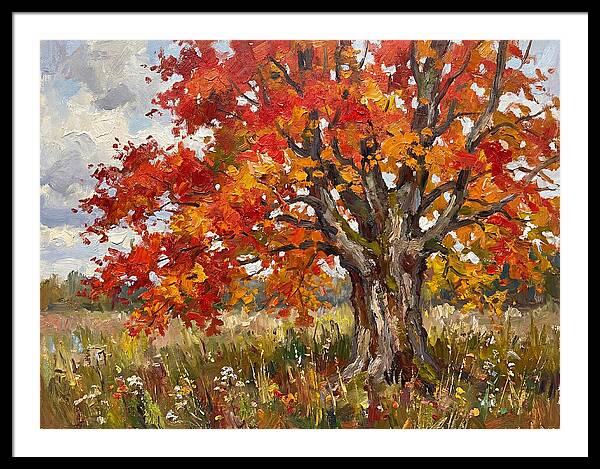Vibrant Autumn Maple Tree