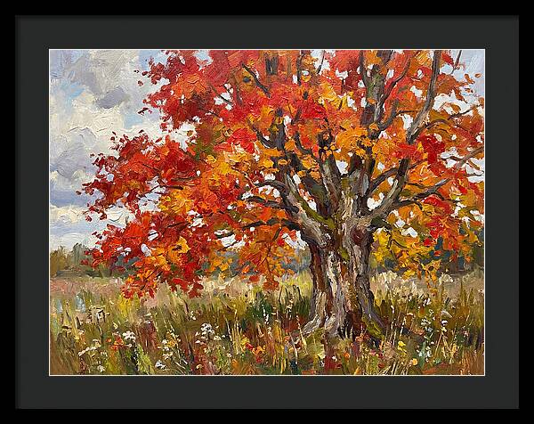 Vibrant Autumn Maple Tree