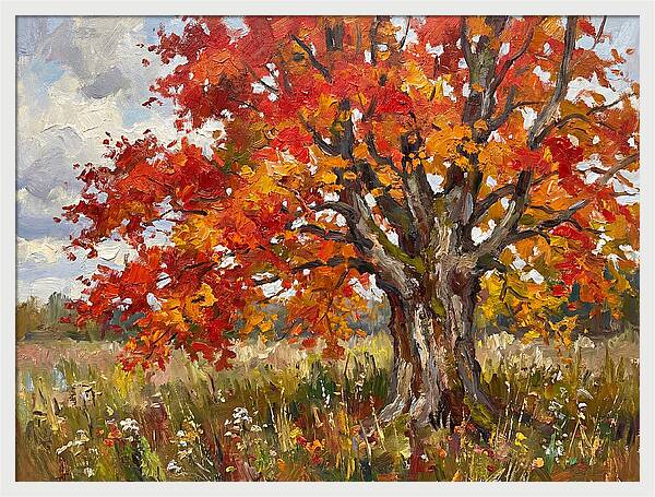 Vibrant Autumn Maple Tree